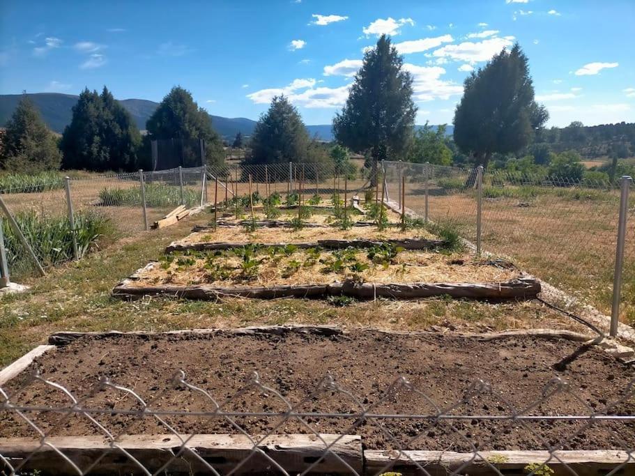 El Telar Arte Y Naturaleza Pradena Екстер'єр фото